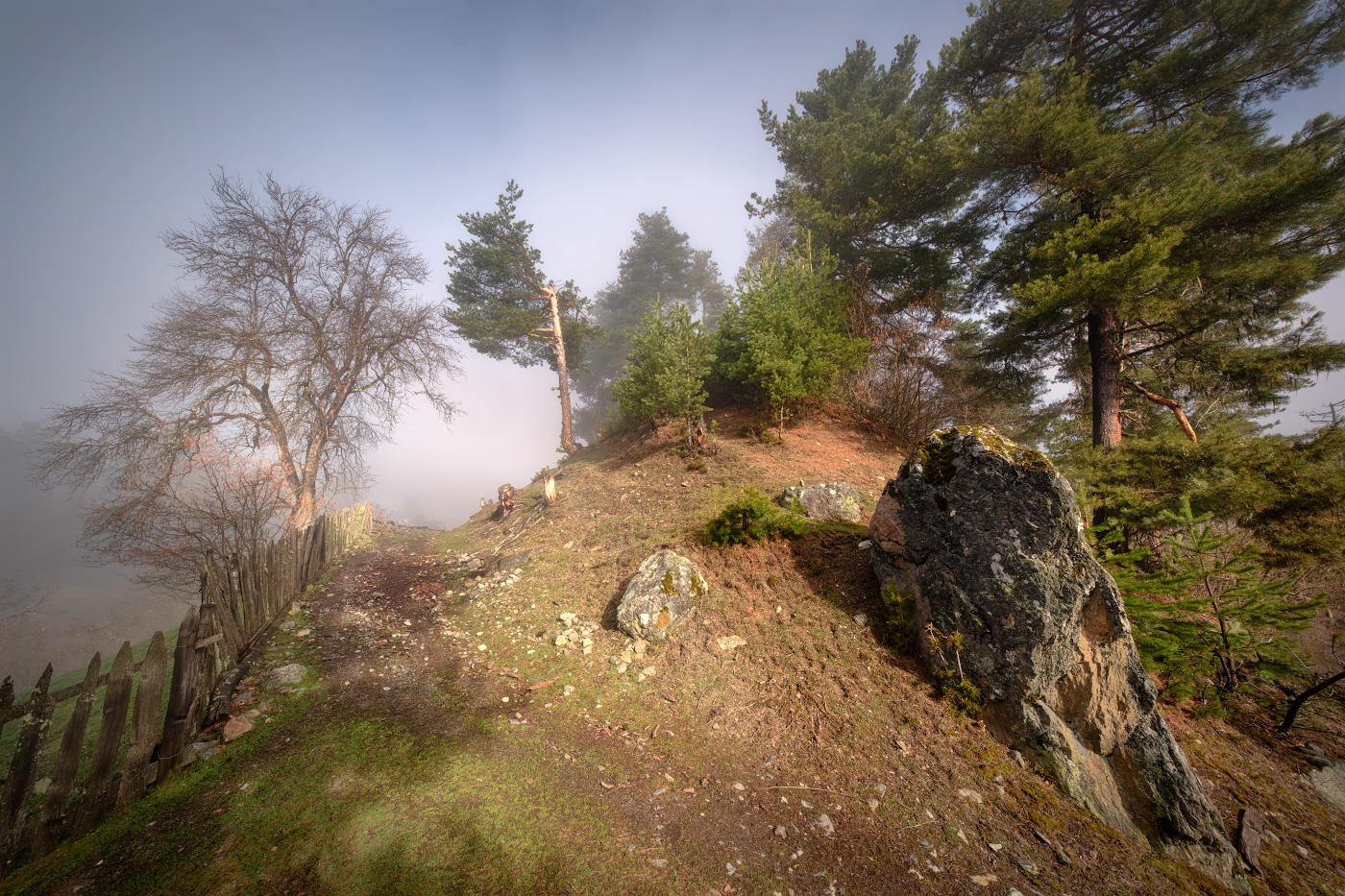 Tsvirmi In Spring