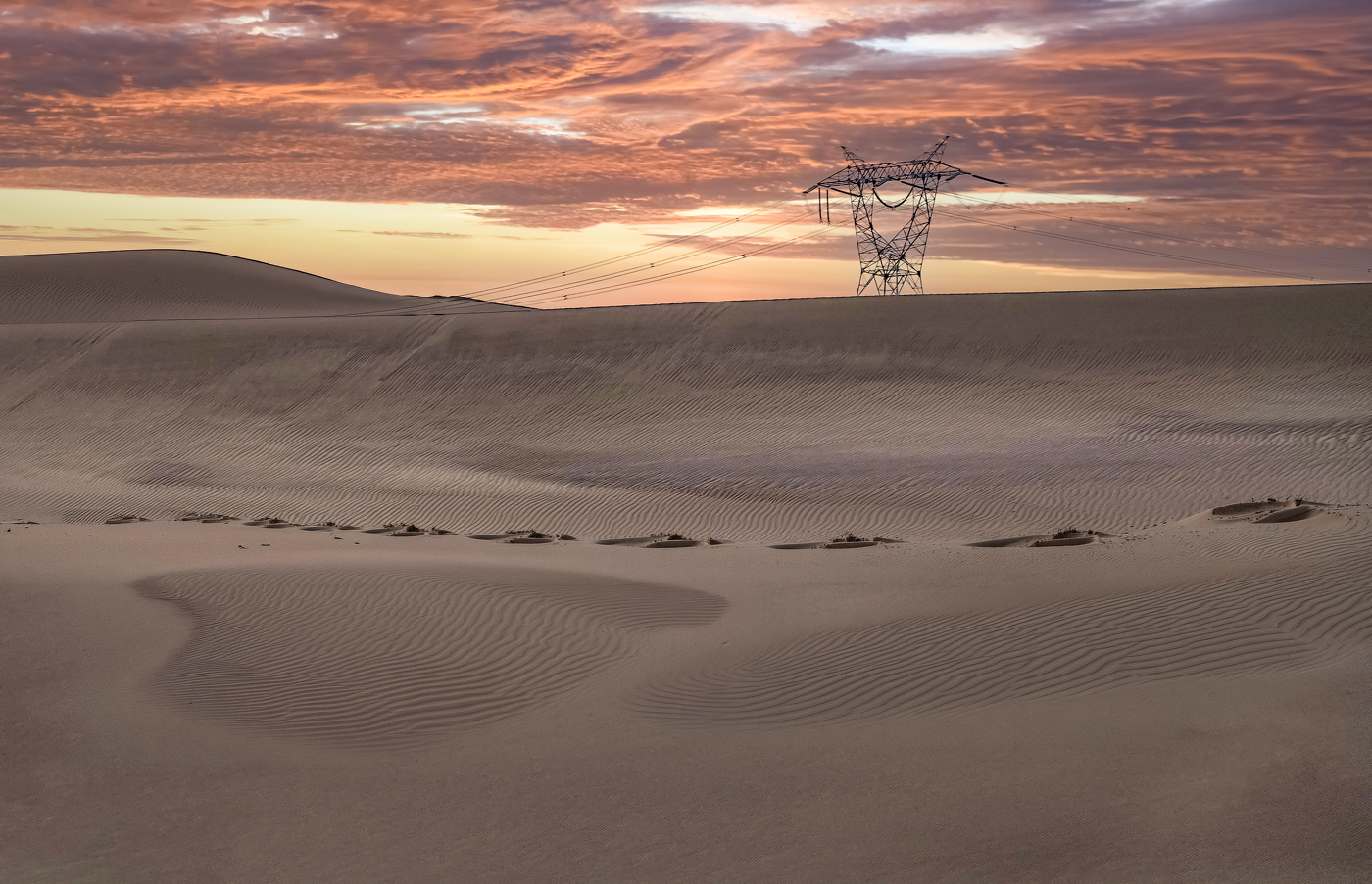 Paint Desert