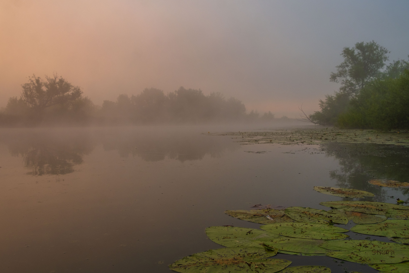 Morning fog.