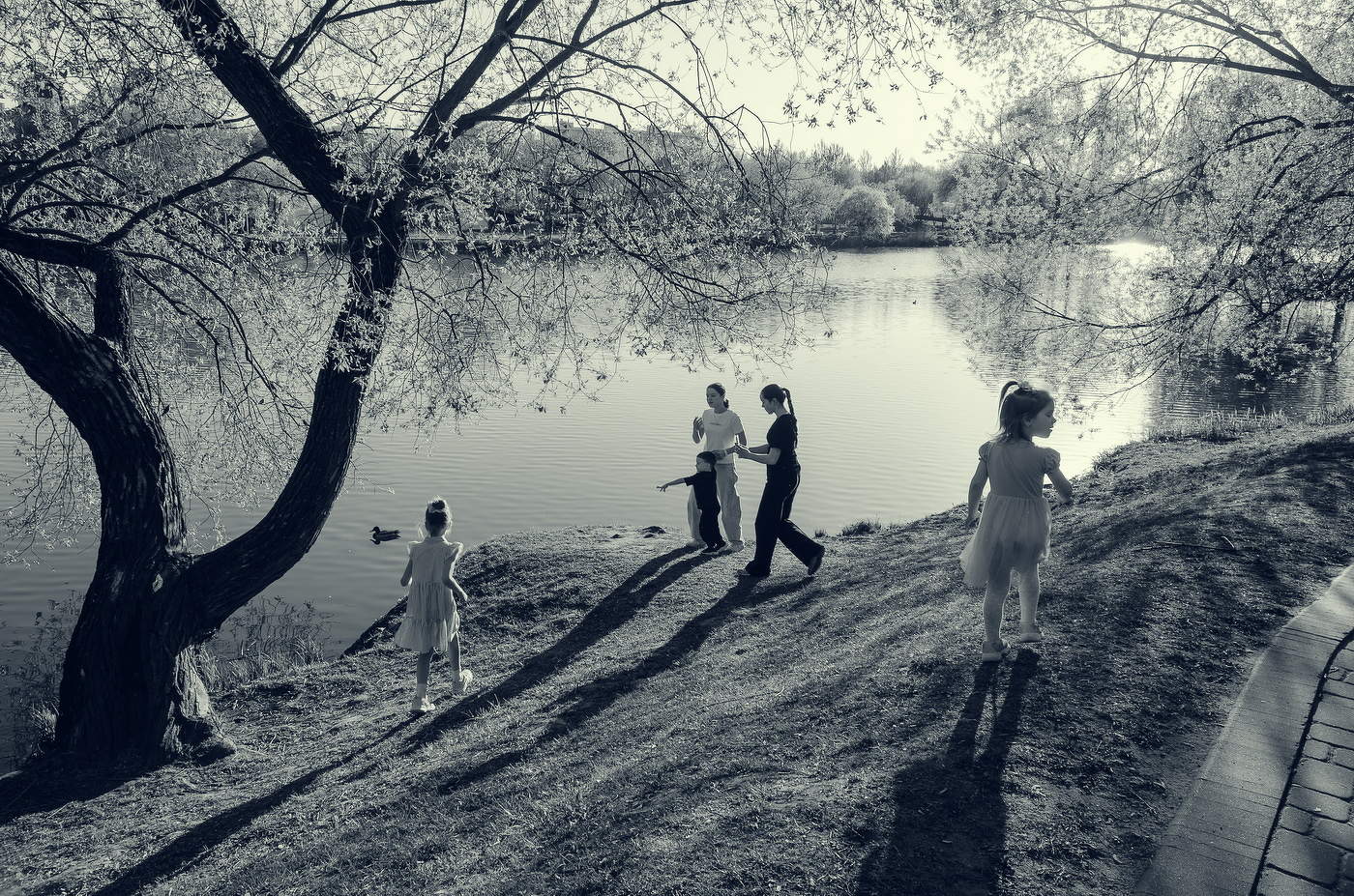 On the shore of the pond