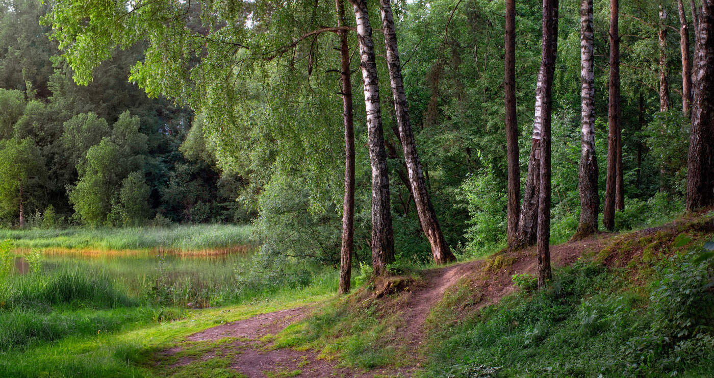 In forest
