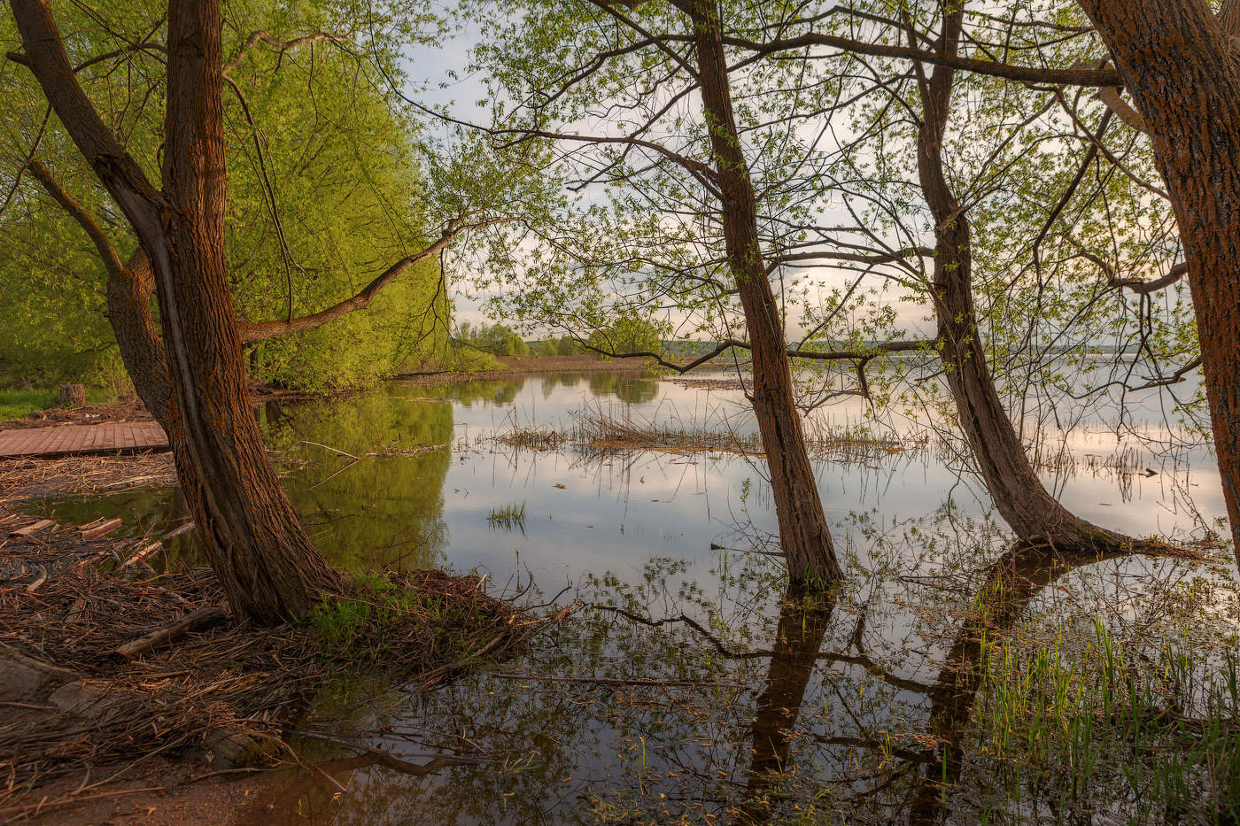 High water