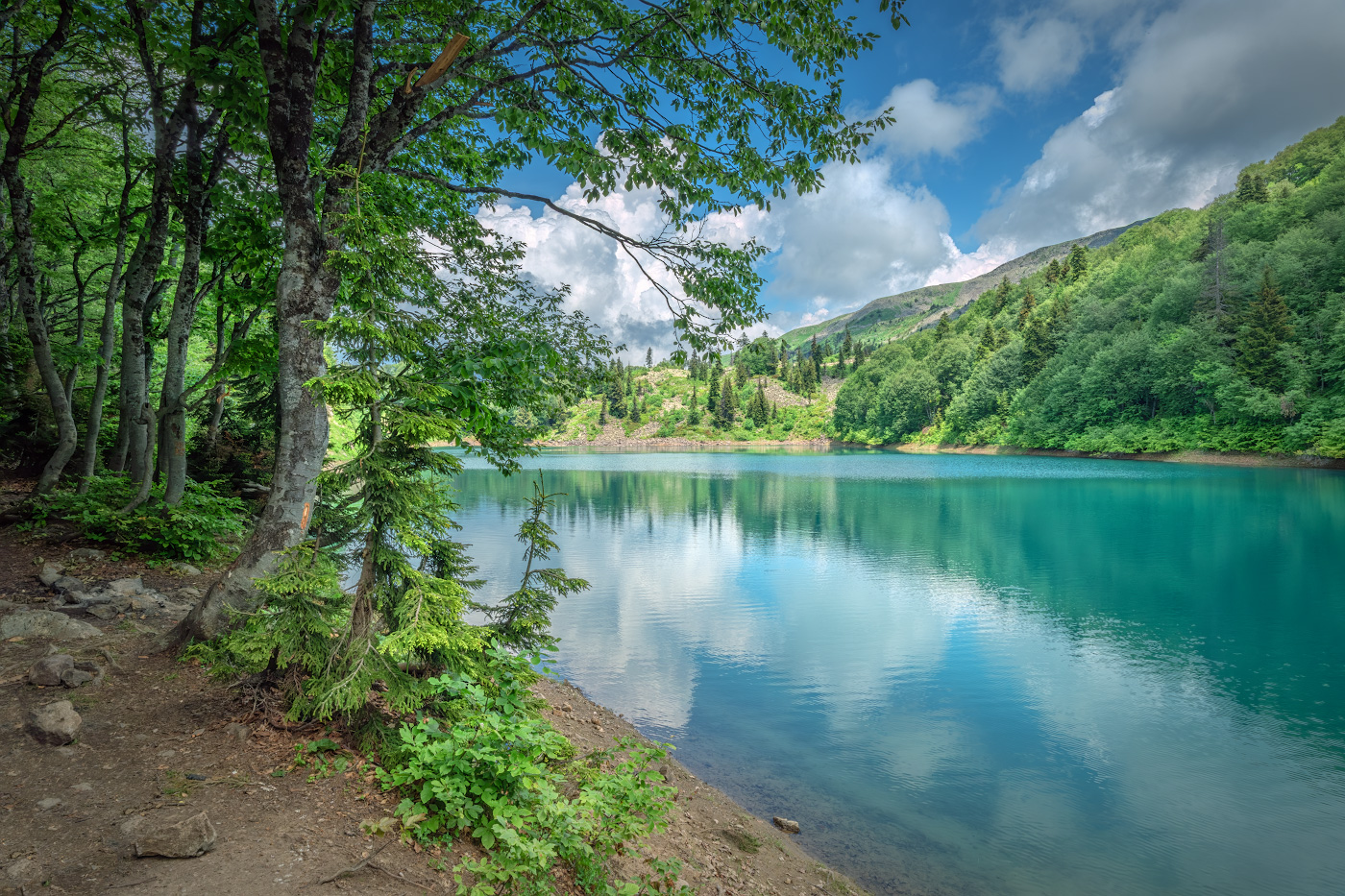 Green Lake In Summer