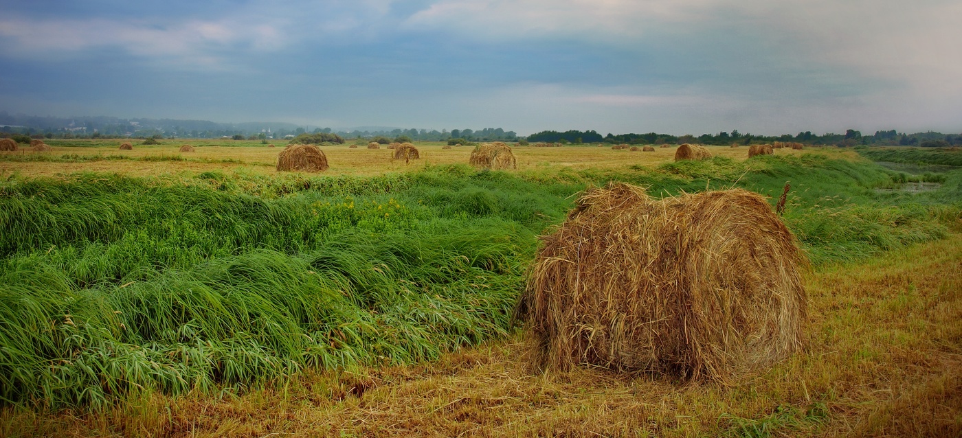 on haymaking