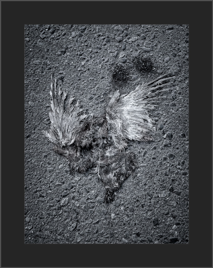Wings