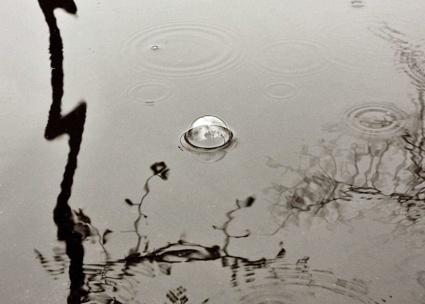 Rain