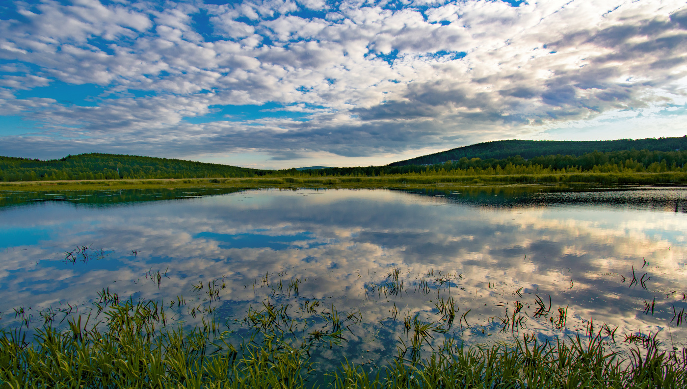 Summer panorama