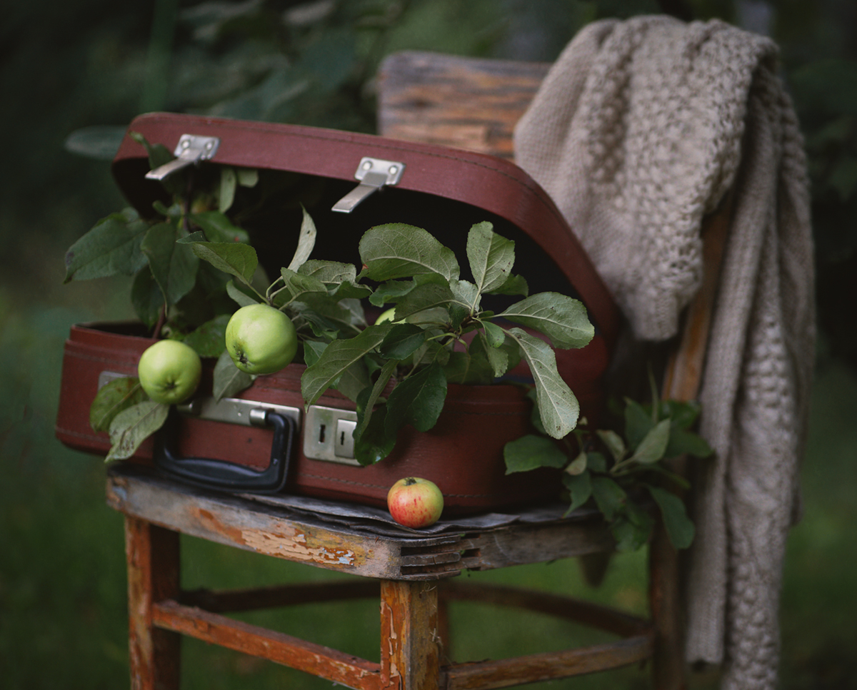 Apple ...
