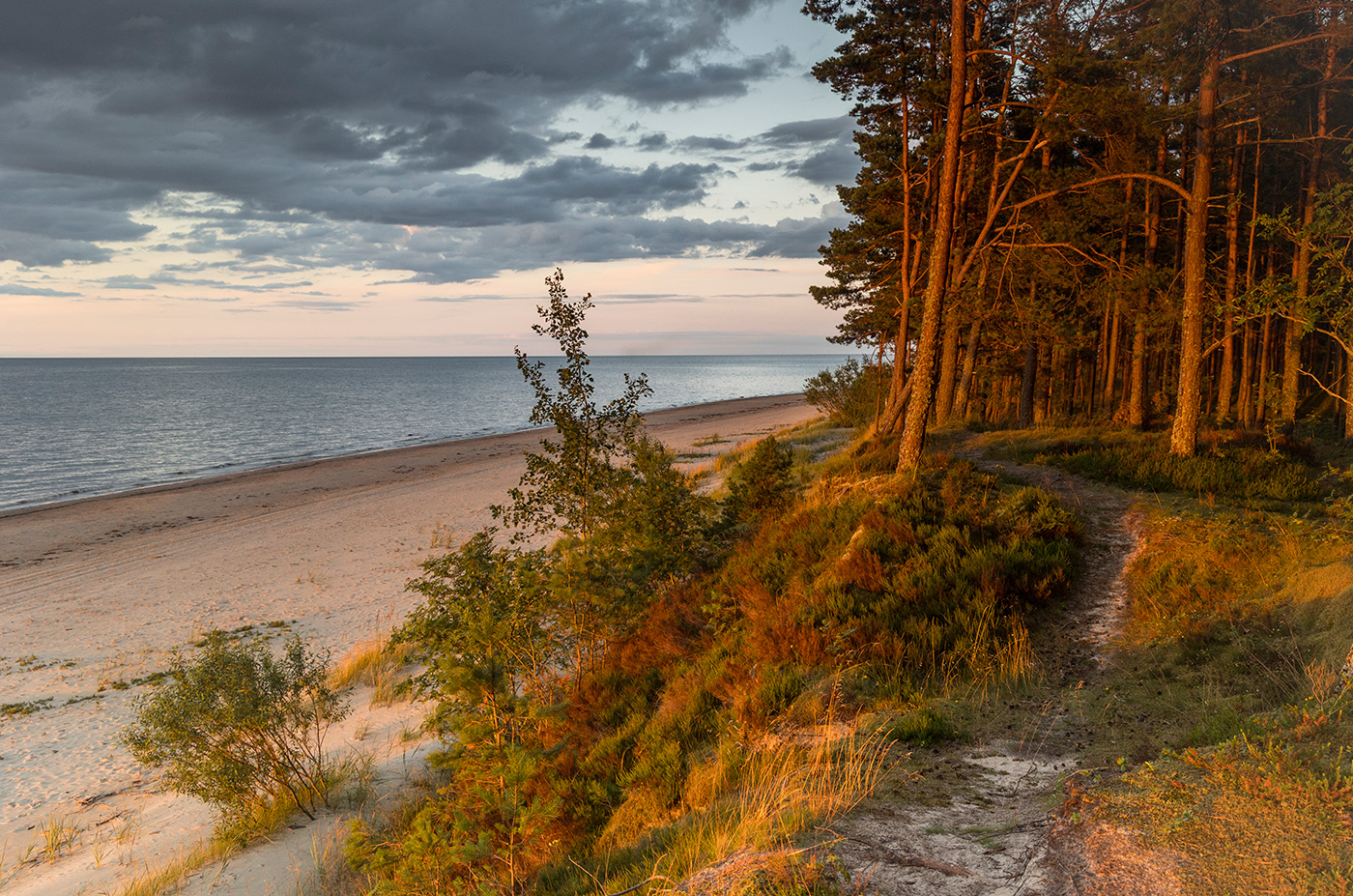Path in the dunes