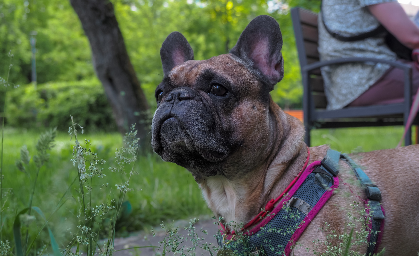 ***