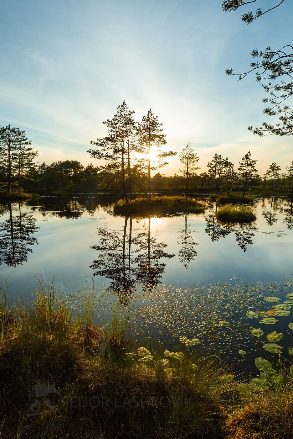 Evening Calm