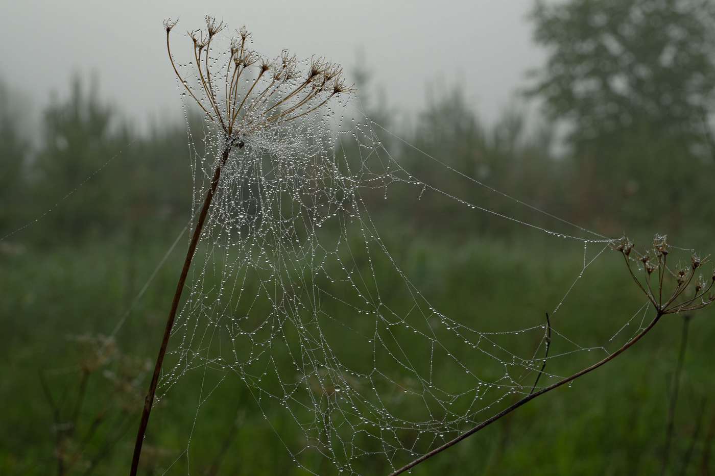Fog dissipates