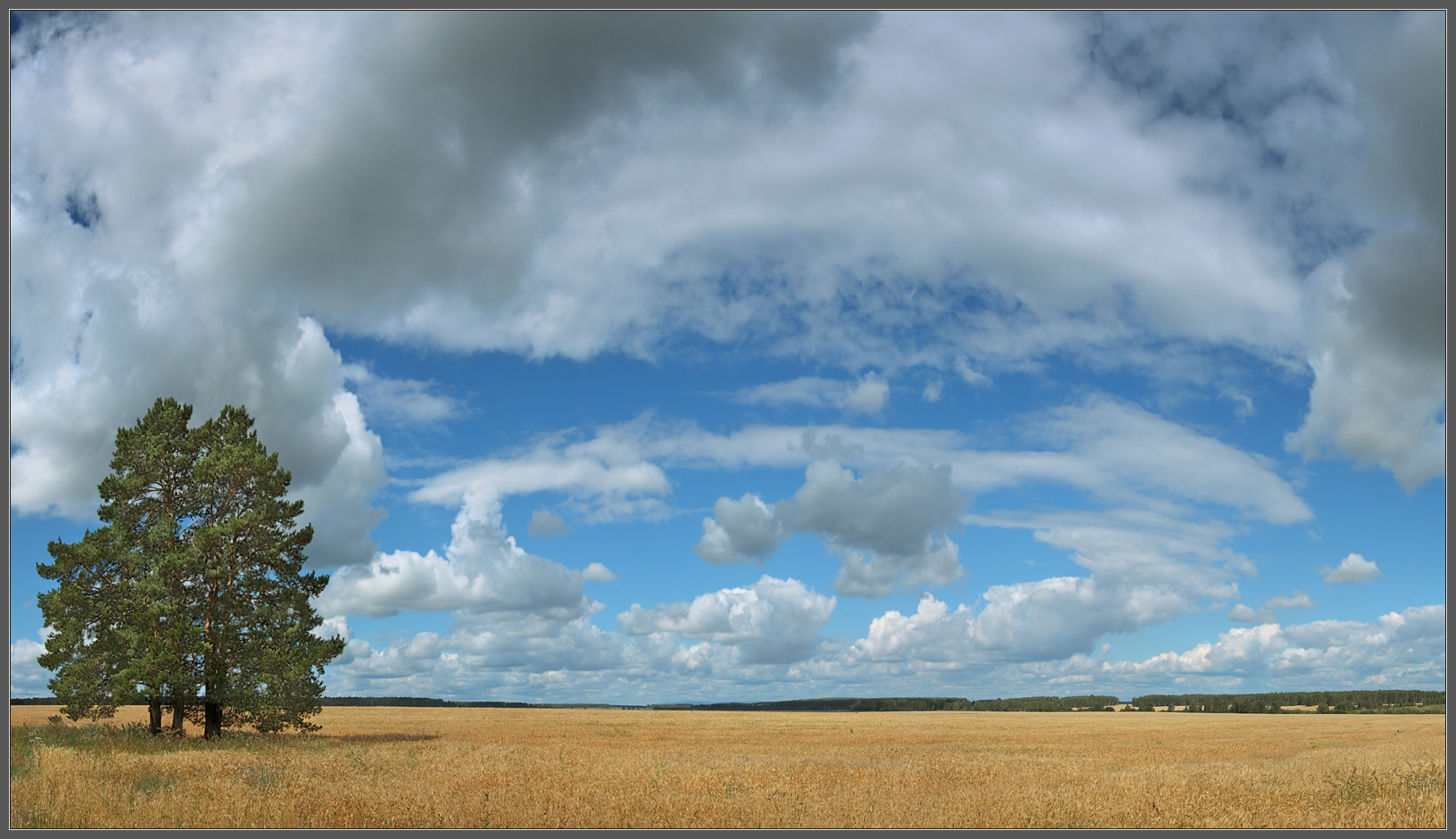 ***The clouds