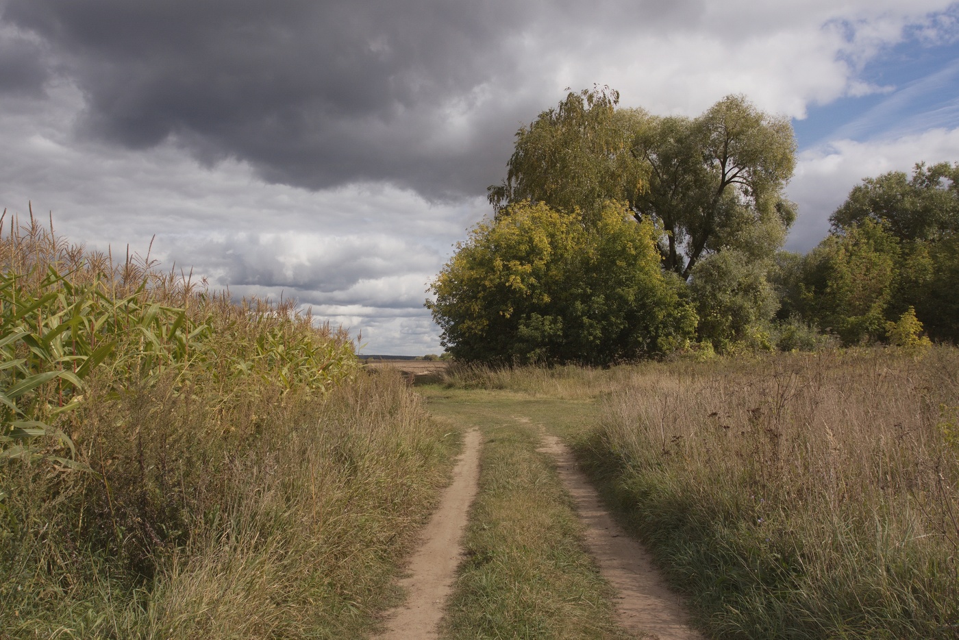 The September landscape