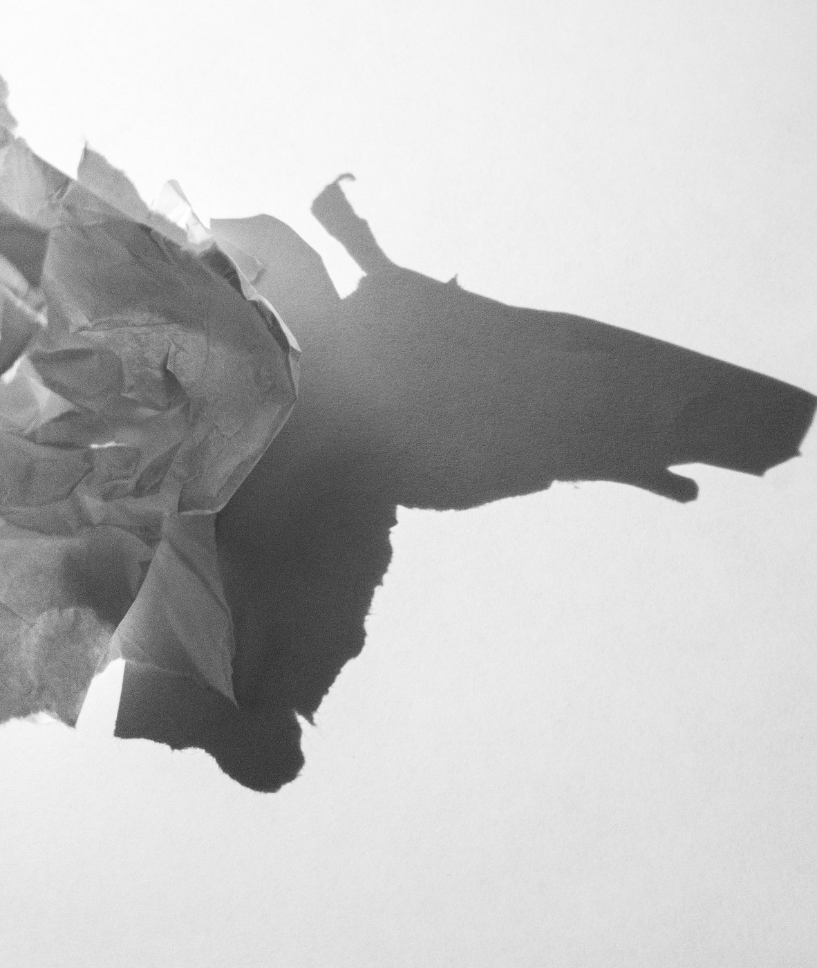 Paper & light