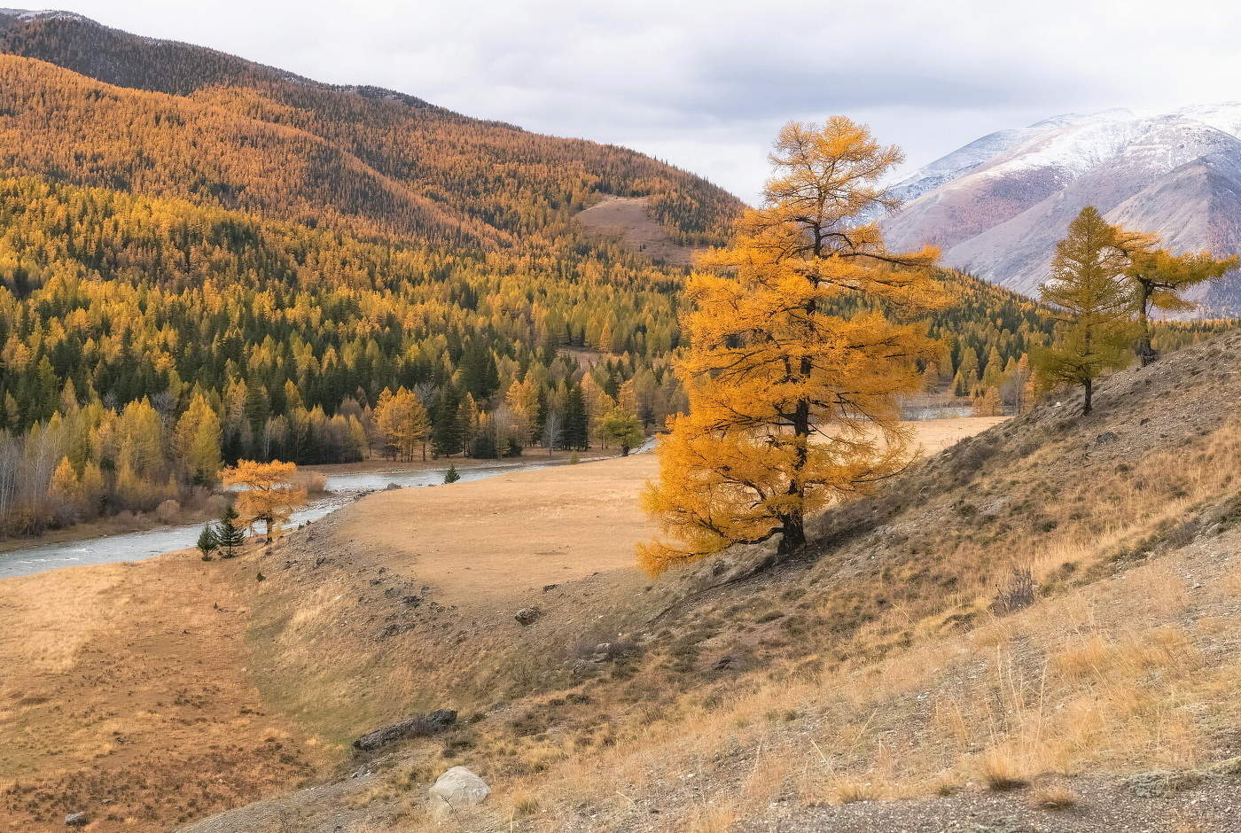 Autumn Gatchina