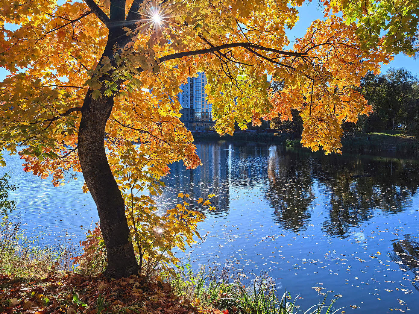 Autumn light ...