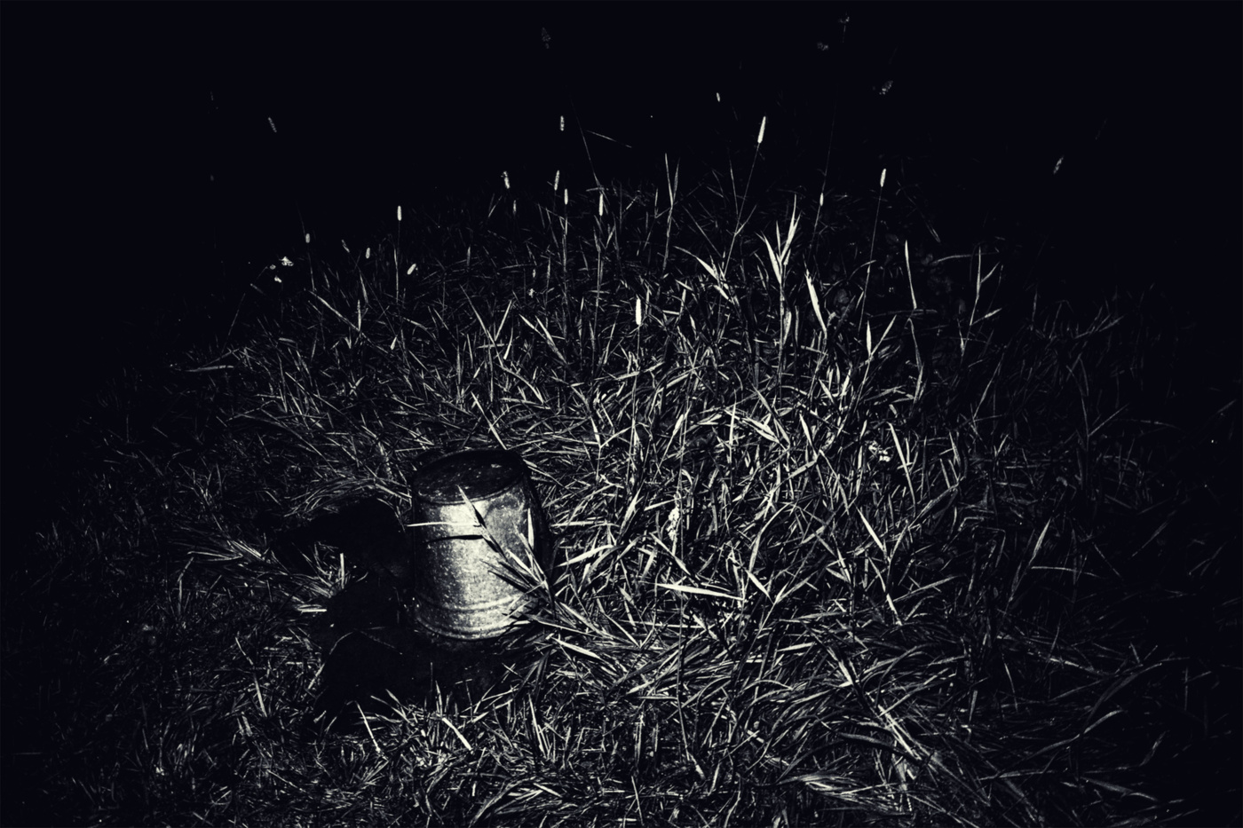 Life around