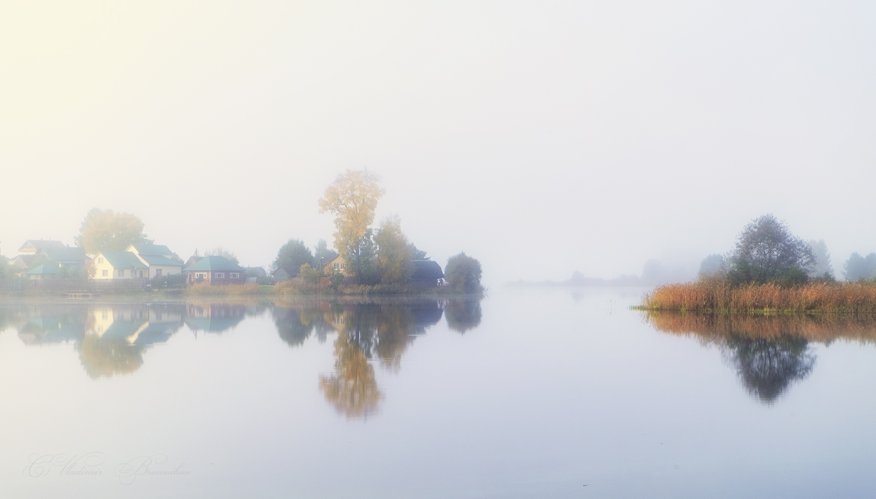 Foggy morning