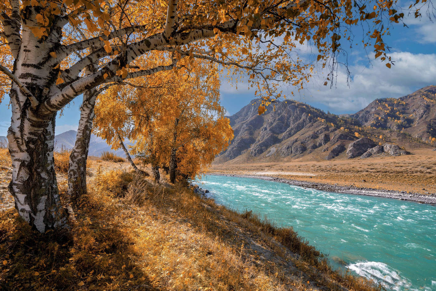 Altai Mountains
