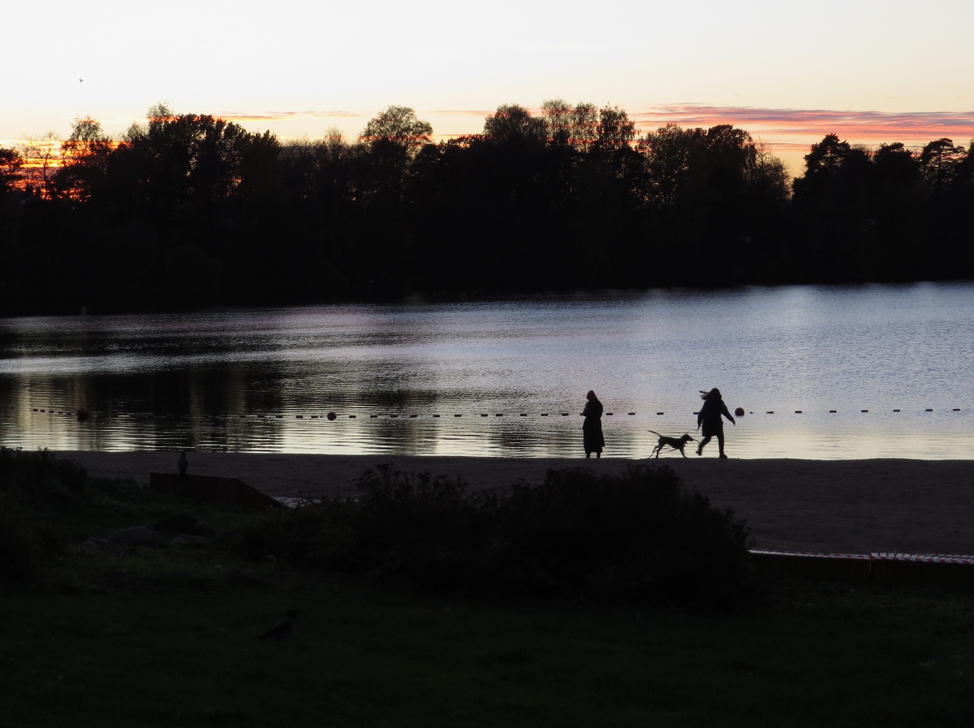 Evening on the lake