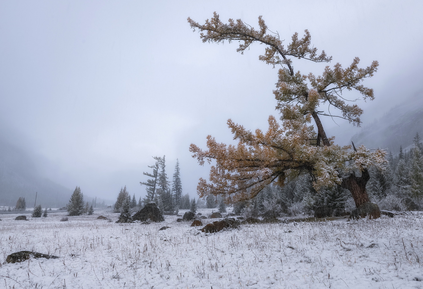 The first snow