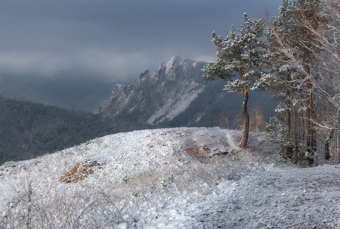 The first snow