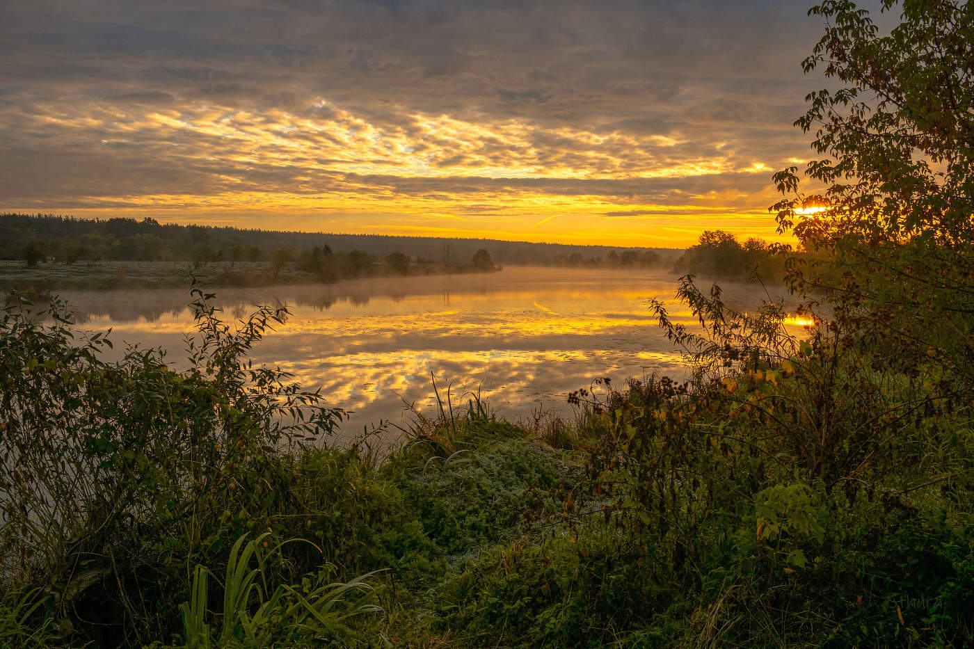 Autumn morning.