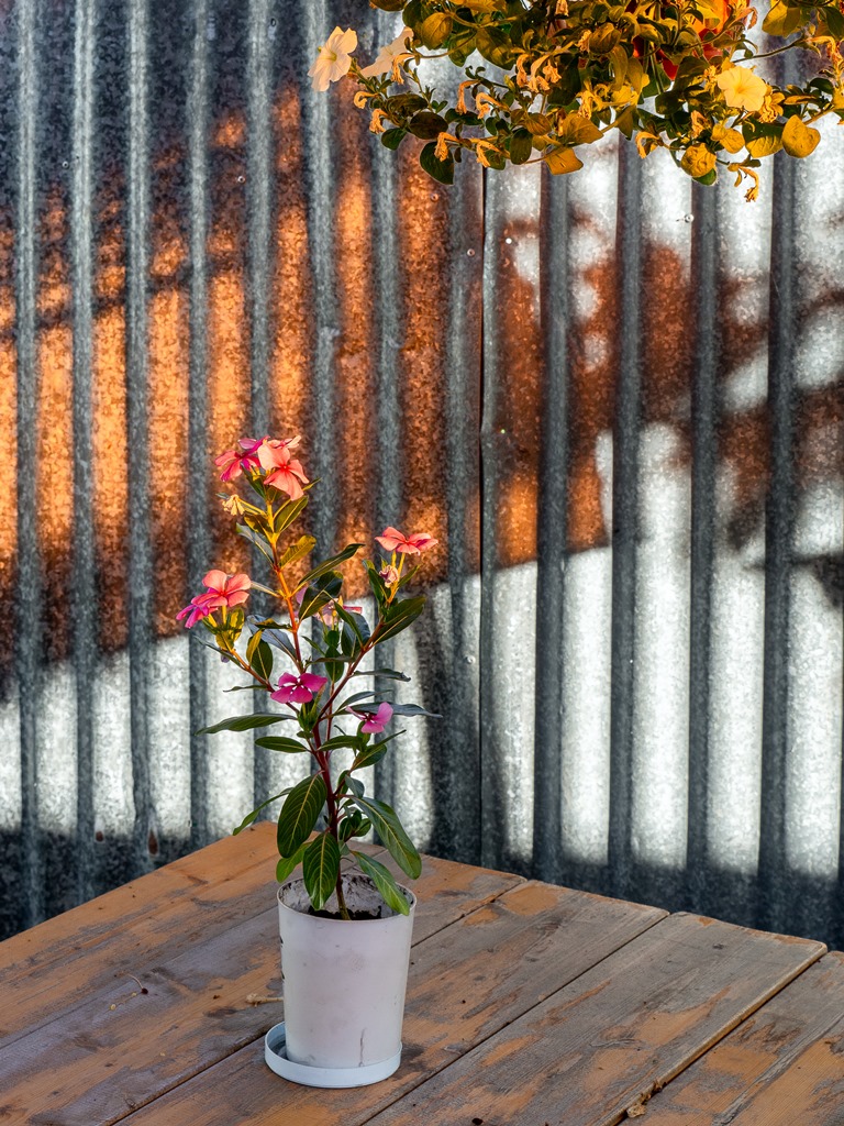 ***