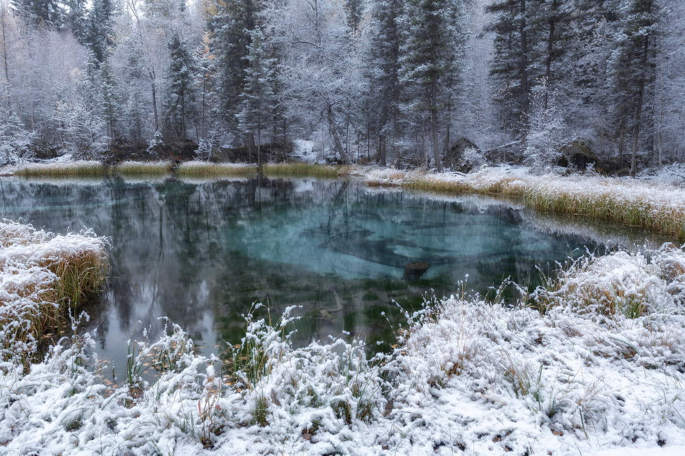 The first snow