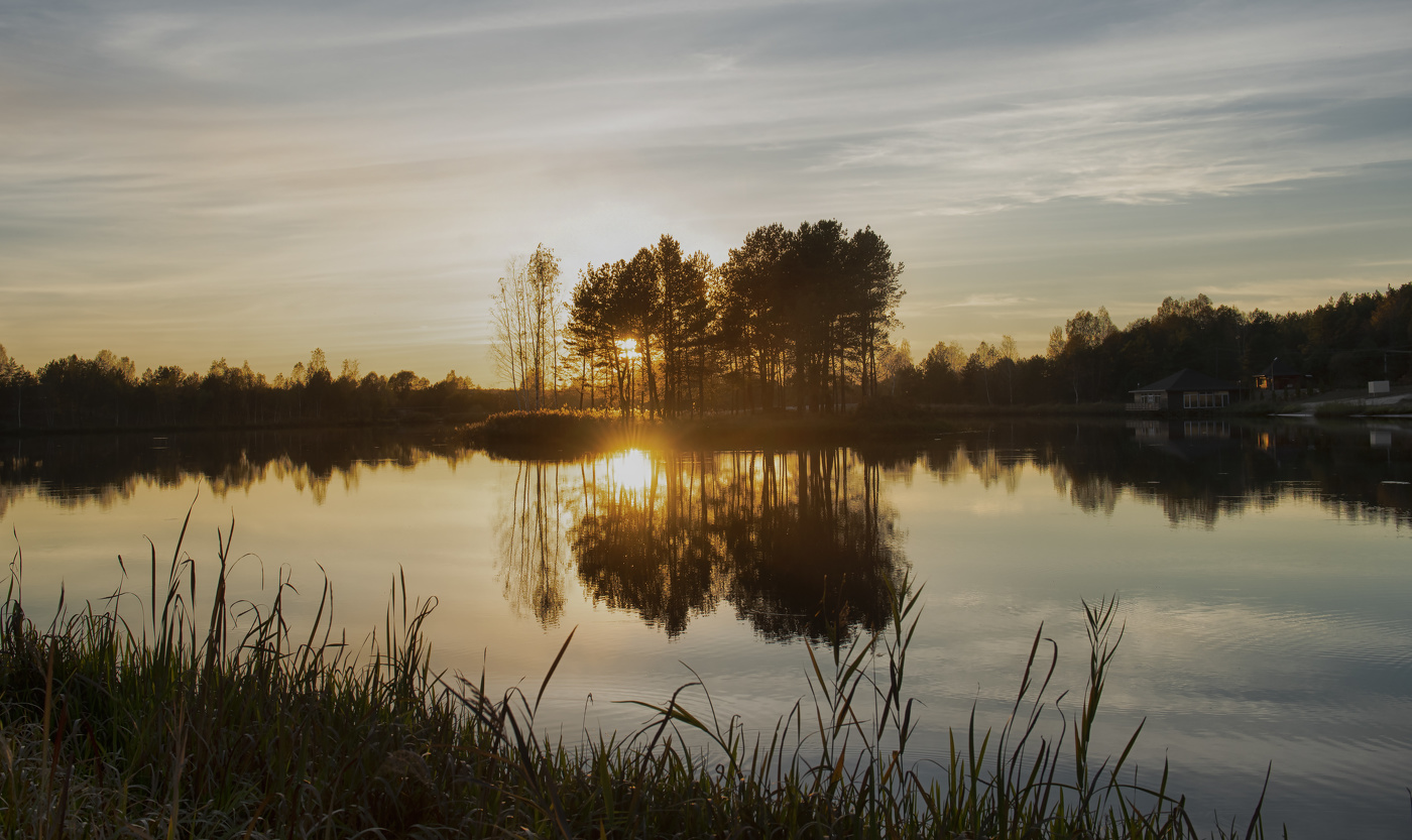 Golden Sunset