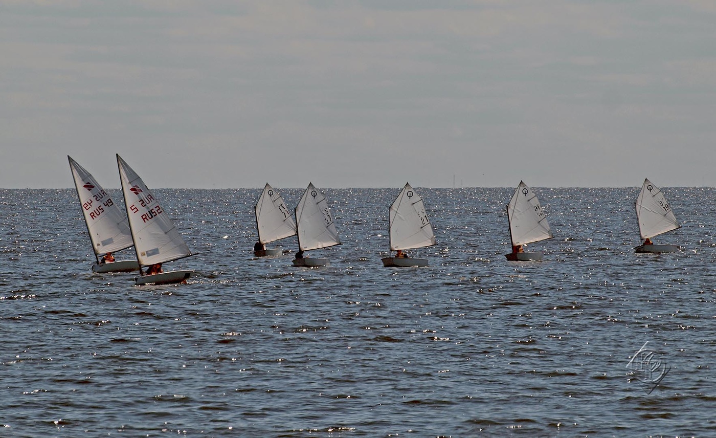 Sail
