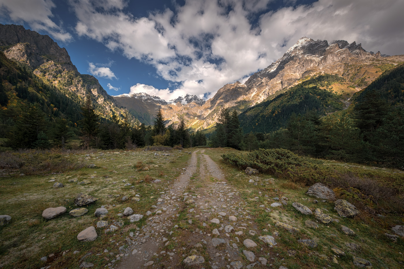 Mazeri Forest Path