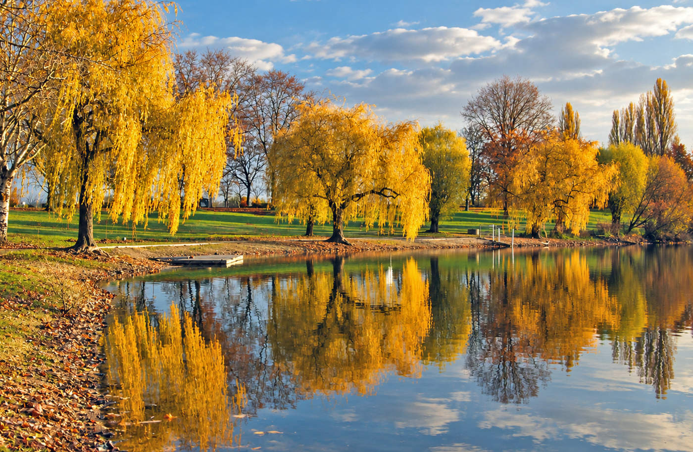 Autumn Gold