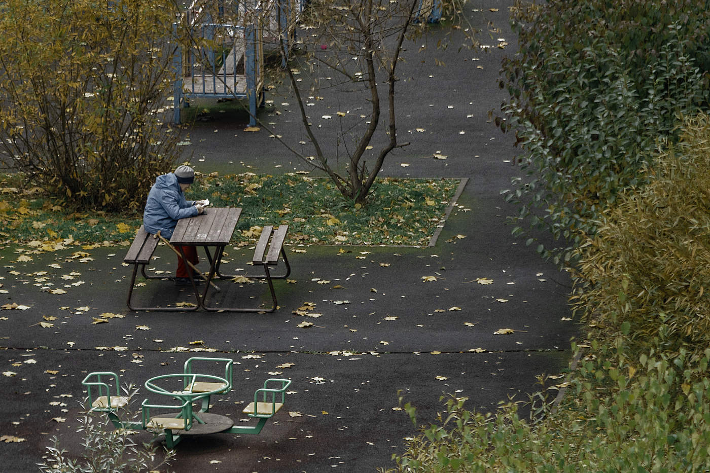 "Autumn"