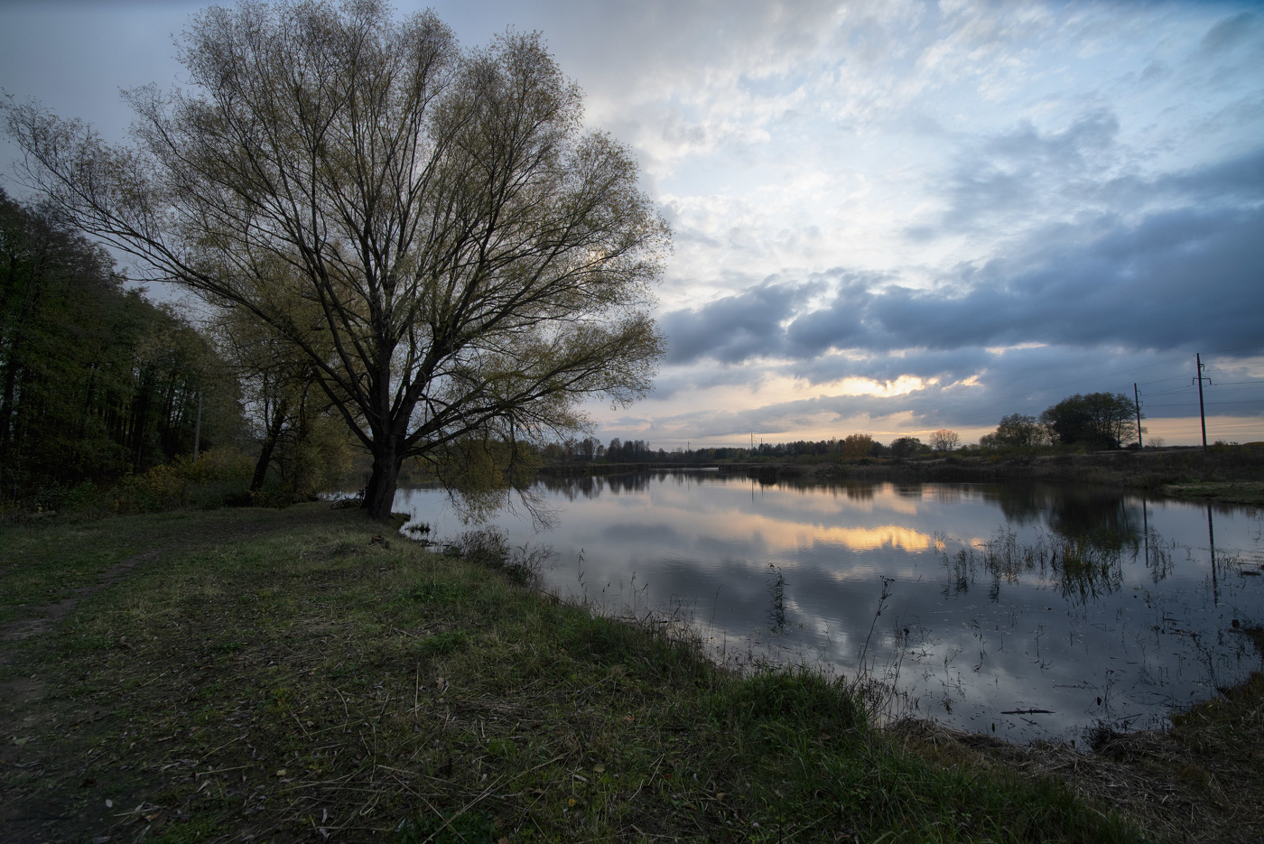 Evening Pond