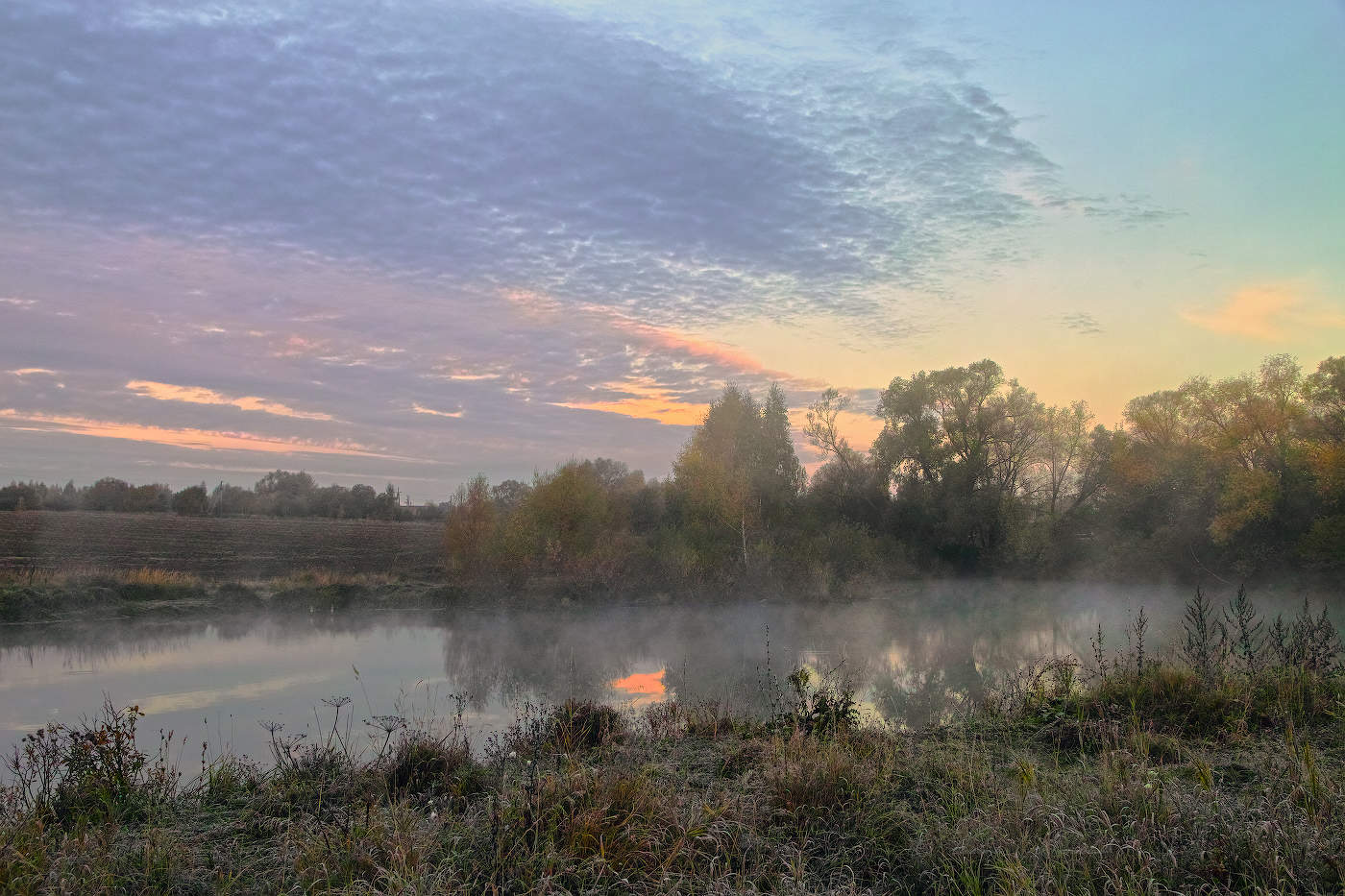 Tenderness in the morning