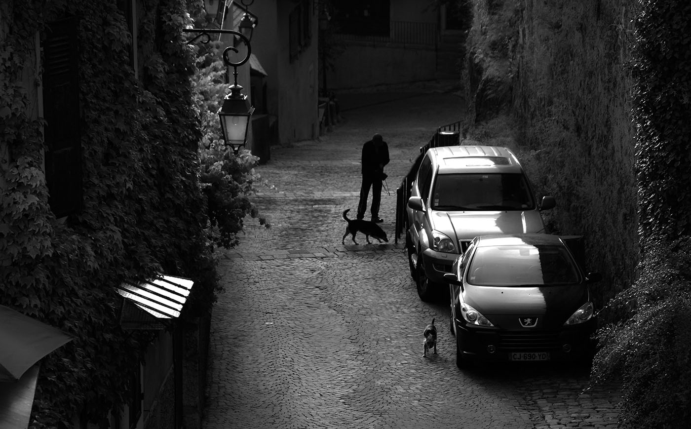 In the lane