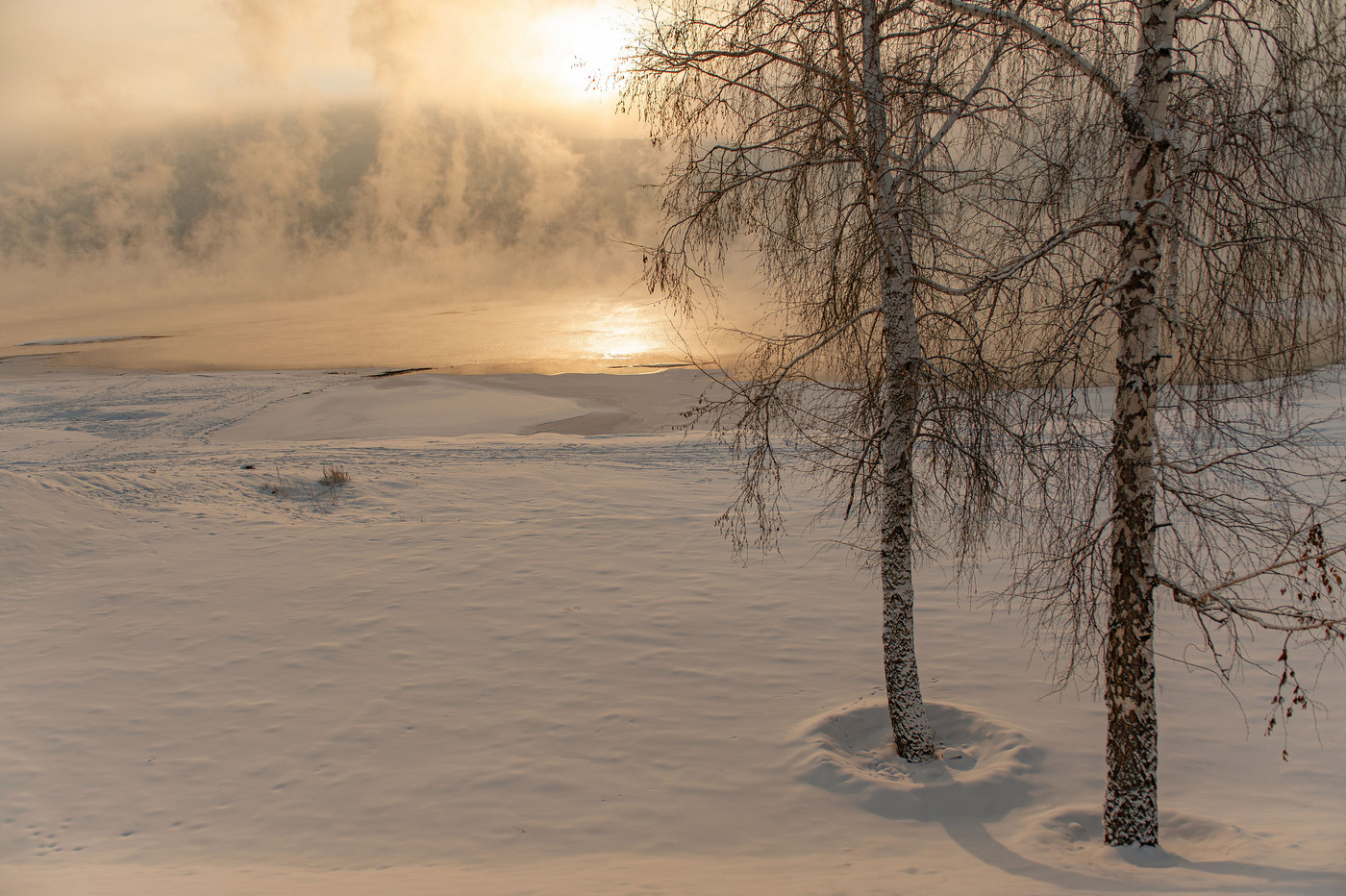 Siberian autumn