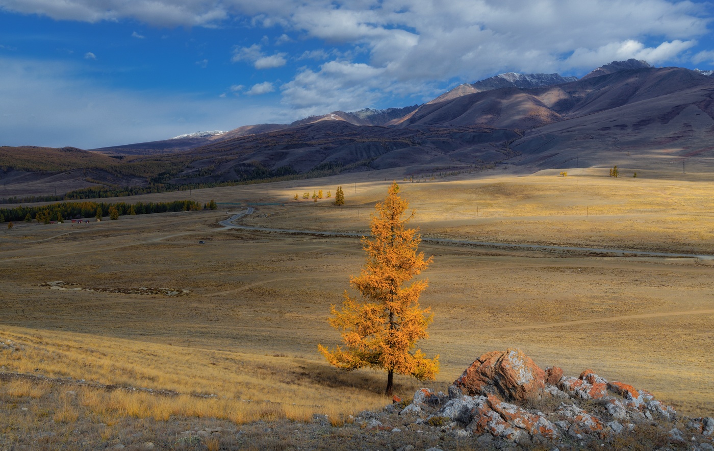 Altai Mountains