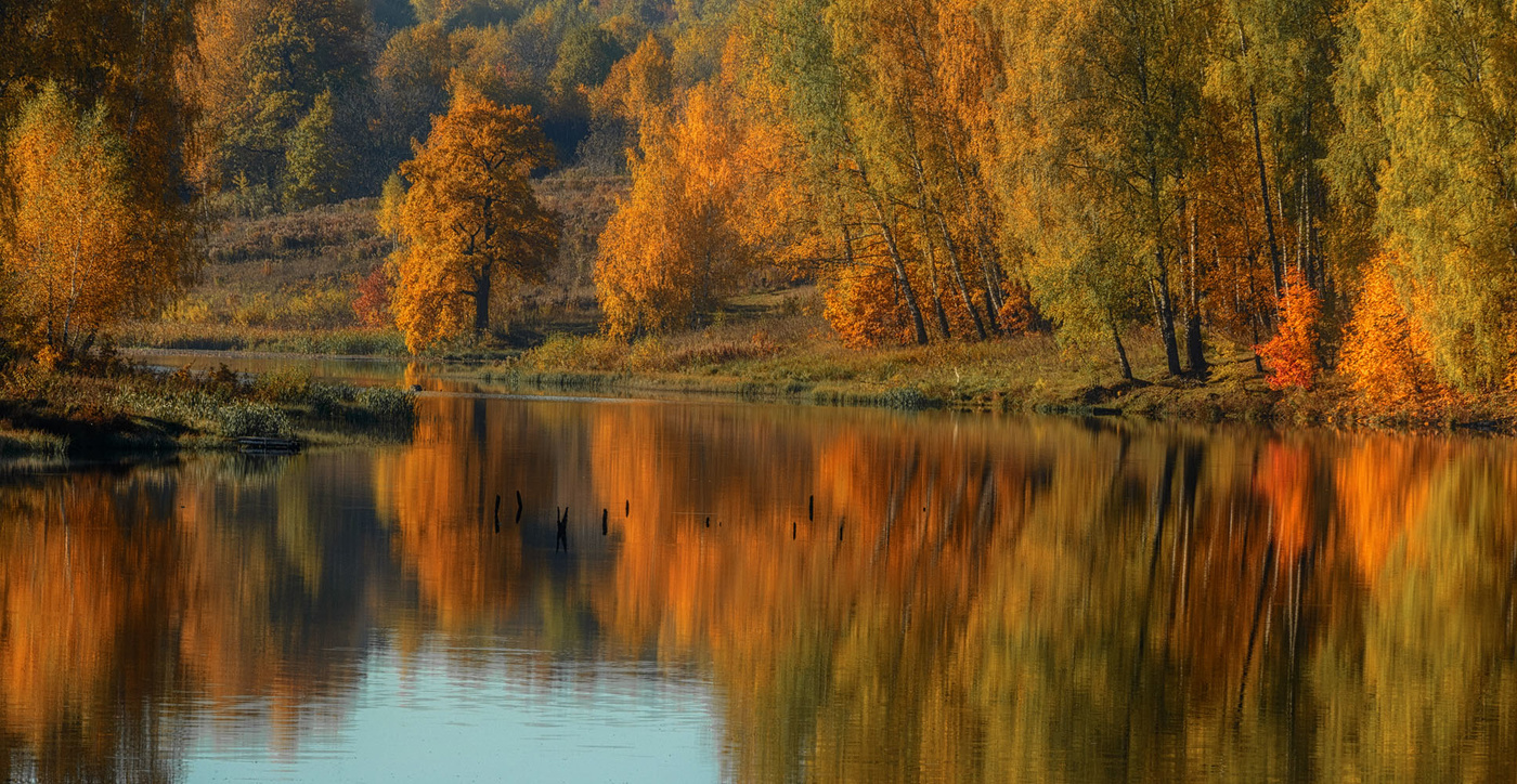 Autumn again ...