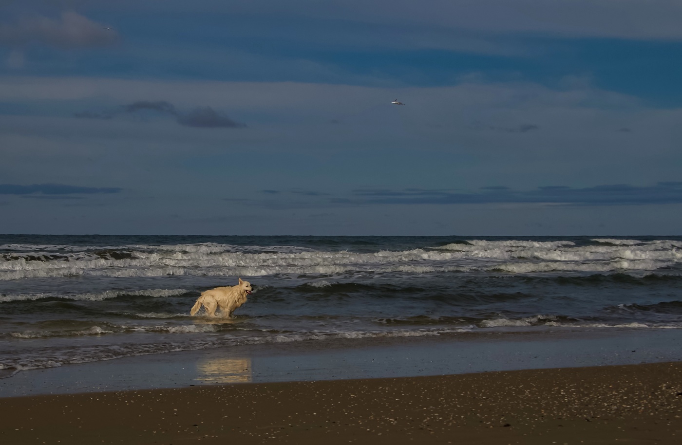In the vast sea