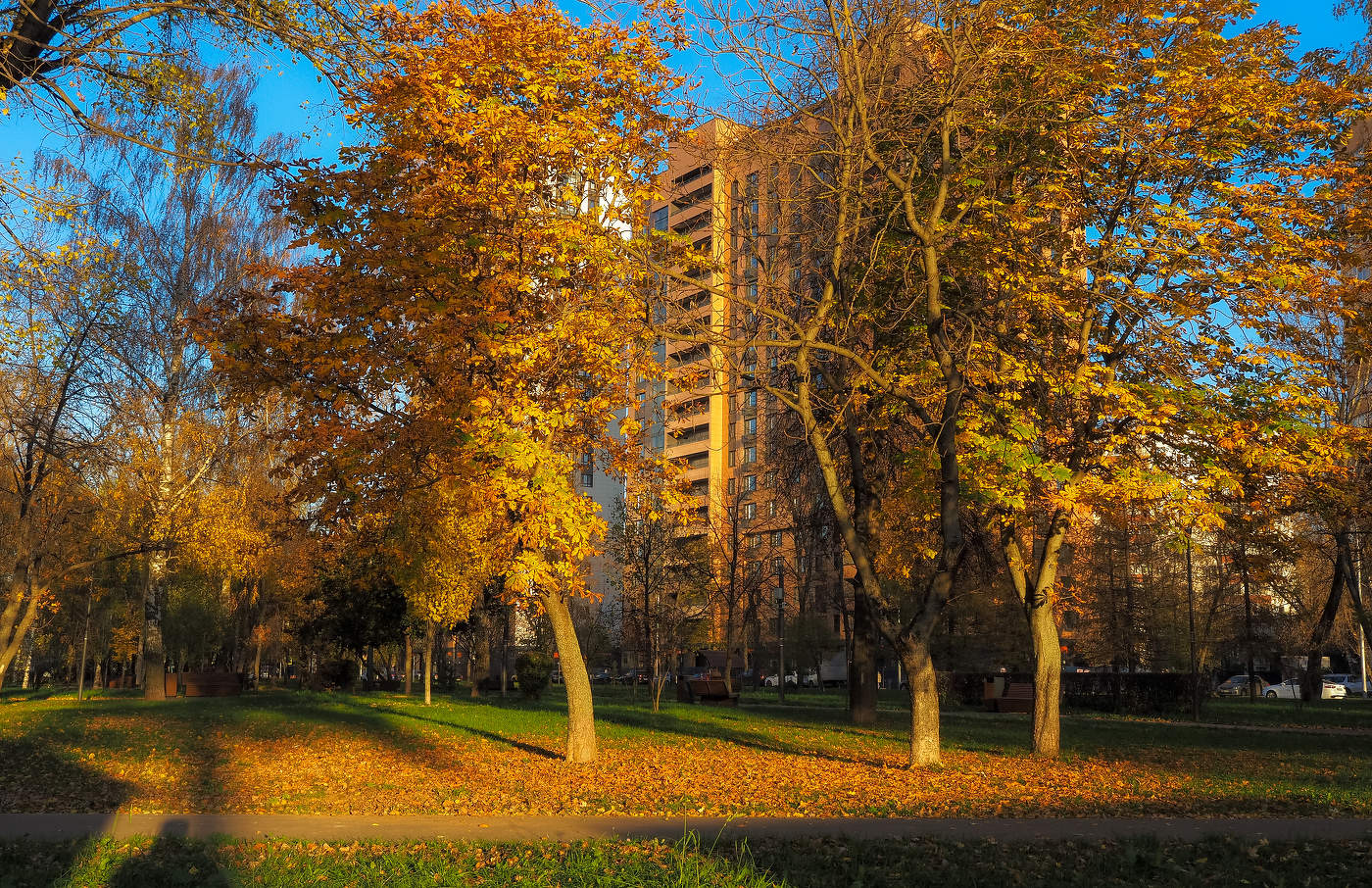 Autumn in the city