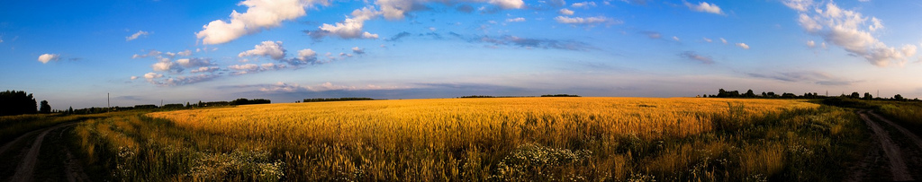 Kozlovka