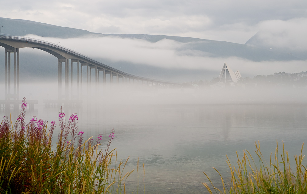 Foggy Fjord