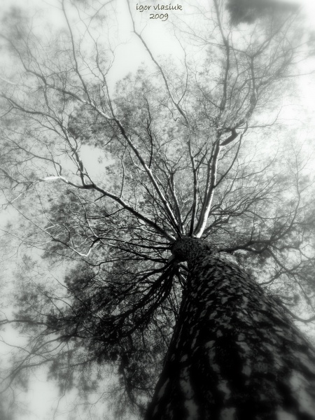 Look into the sky 2