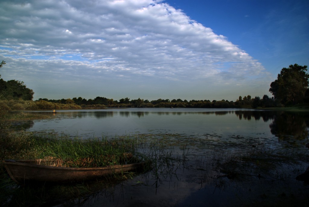 backwater