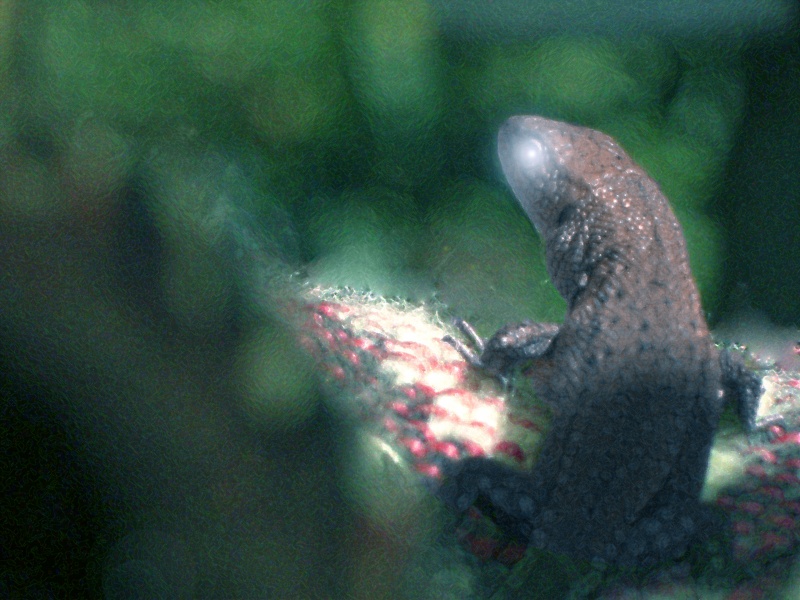 Hunter