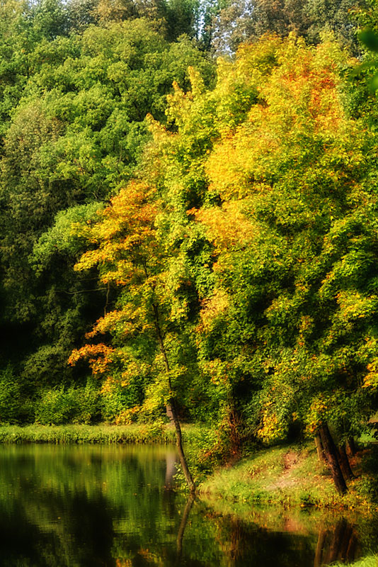 Autumn comes