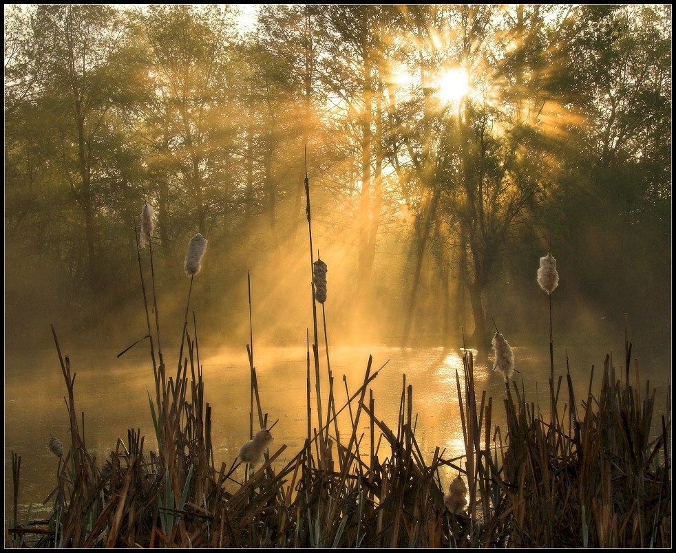 All is not gold that glitters ....